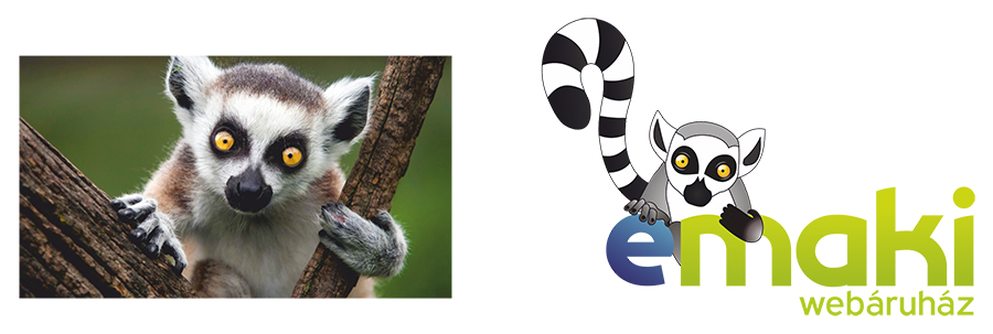 grafika foto alapjan