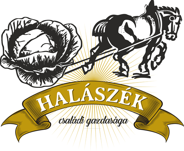 régimódi logotervezes