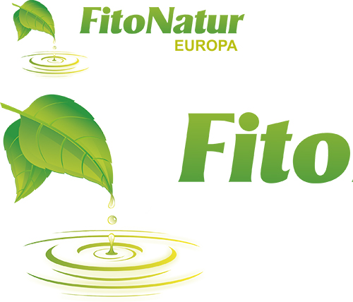 grafika rajz alapjan