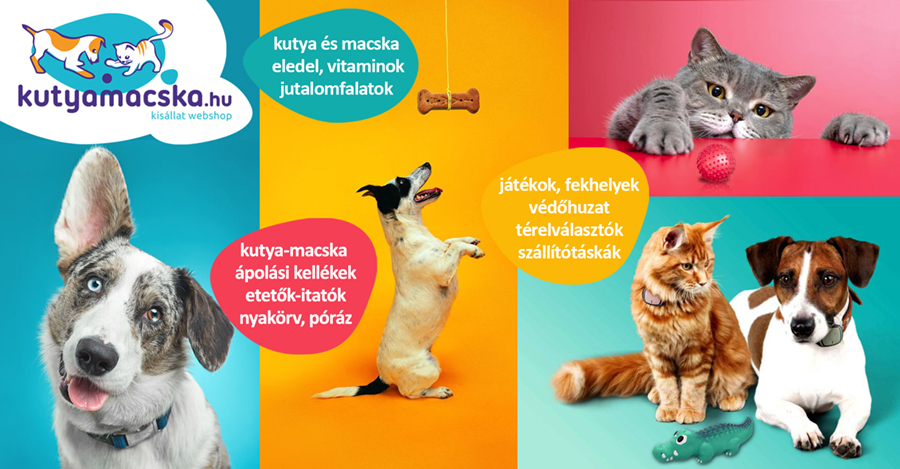 kisállat szórólap, plakát, banner tervezés